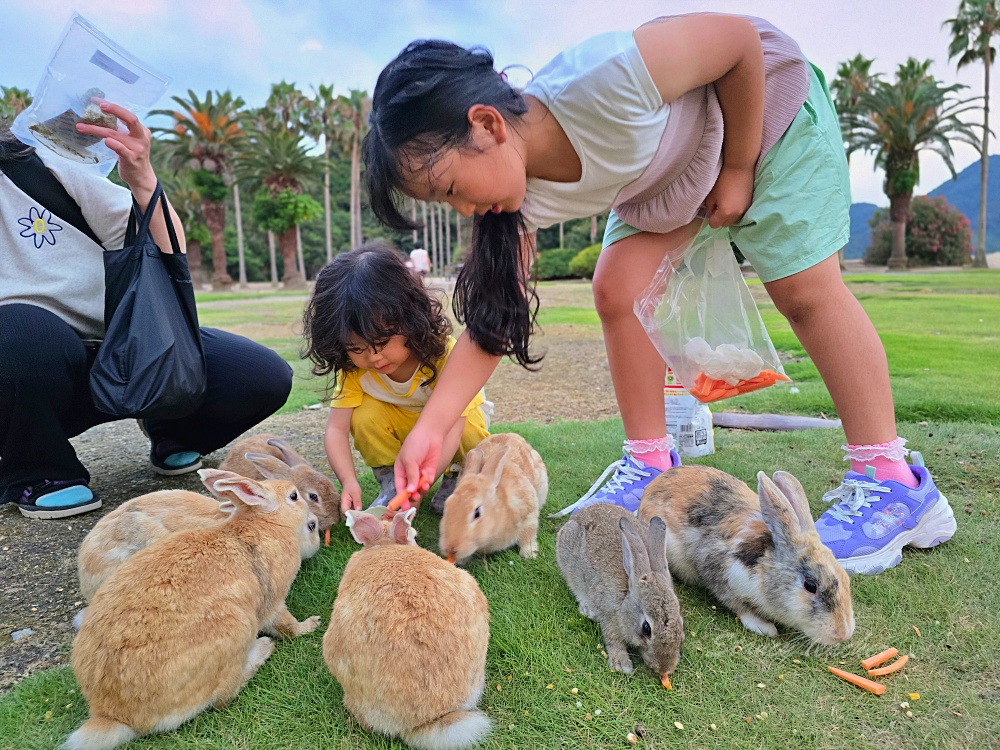 【廣島旅遊】廣島兔子島「大久野島休暇村住宿一泊二食」不跟團自駕坐船登島超EASY