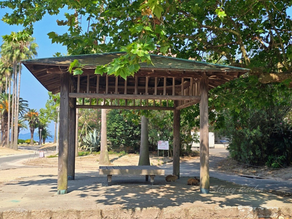 【廣島旅遊】廣島兔子島「大久野島休暇村住宿一泊二食」不跟團自駕坐船登島超EASY