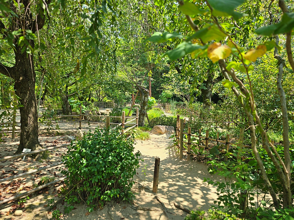 廣島縮景園｜廣島市區必訪日式庭園景點！交通門票＋跨虹橋拍照亮點一次整理