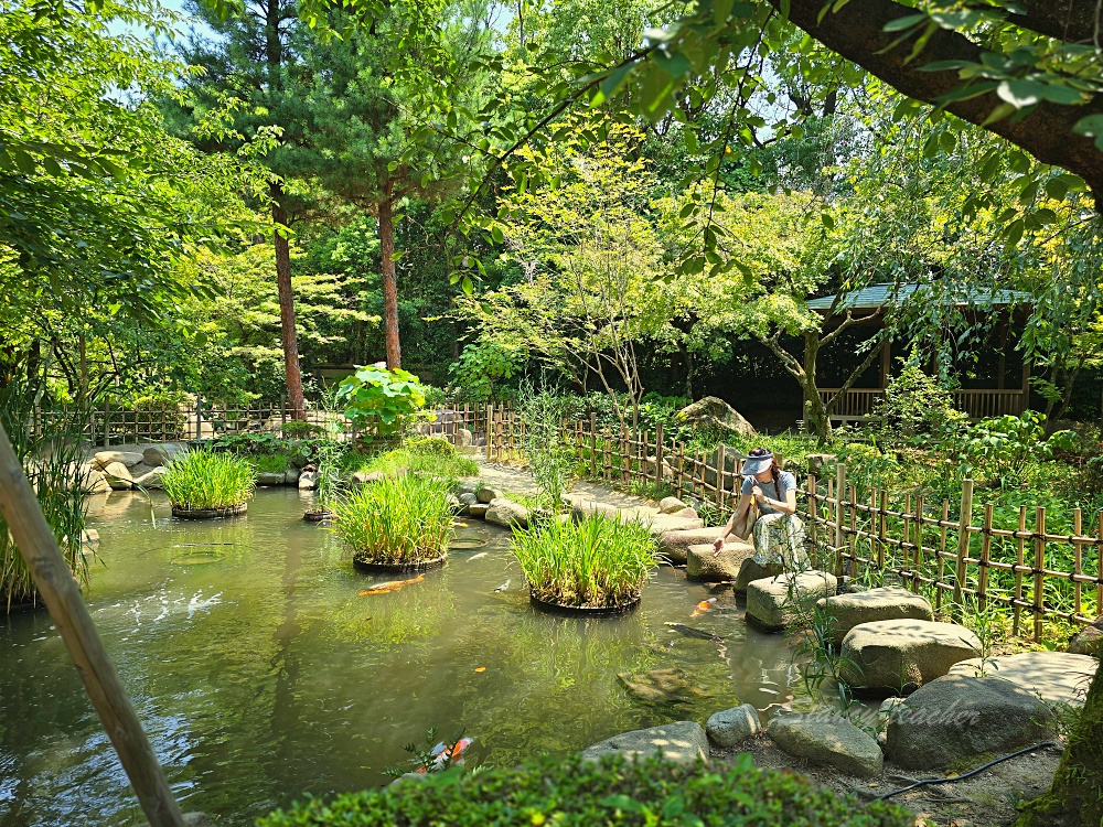 廣島縮景園｜廣島市區必訪日式庭園景點！交通門票＋跨虹橋拍照亮點一次整理