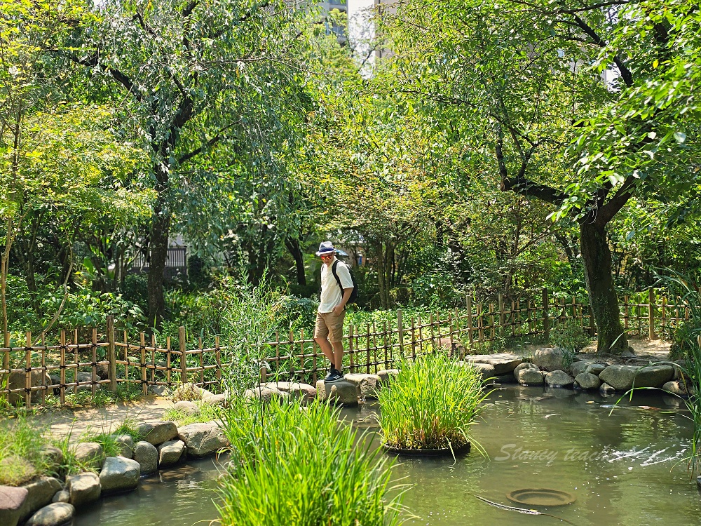 廣島縮景園｜廣島市區必訪日式庭園景點！交通門票＋跨虹橋拍照亮點一次整理