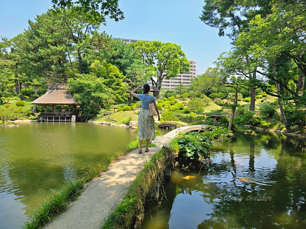 廣島縮景園｜廣島市區必訪日式庭園景點！交通門票＋跨虹橋拍照亮點一次整理
