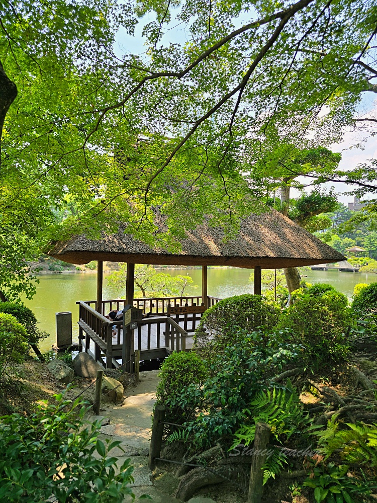 廣島縮景園｜廣島市區必訪日式庭園景點！交通門票＋跨虹橋拍照亮點一次整理