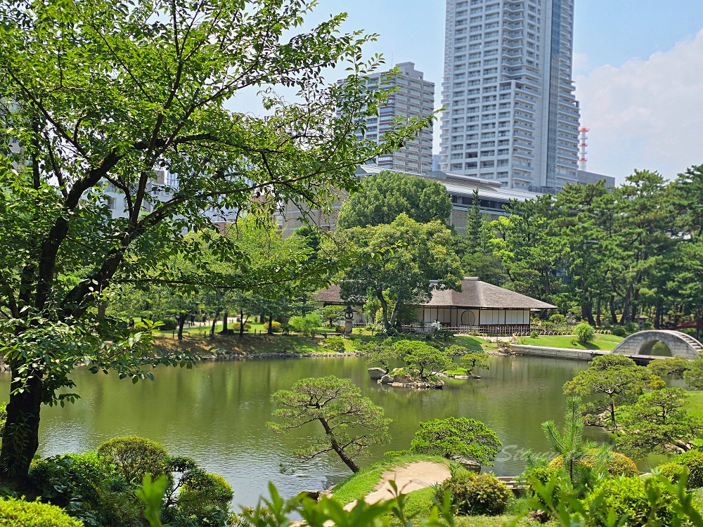 廣島縮景園｜廣島市區必訪日式庭園景點！交通門票＋跨虹橋拍照亮點一次整理