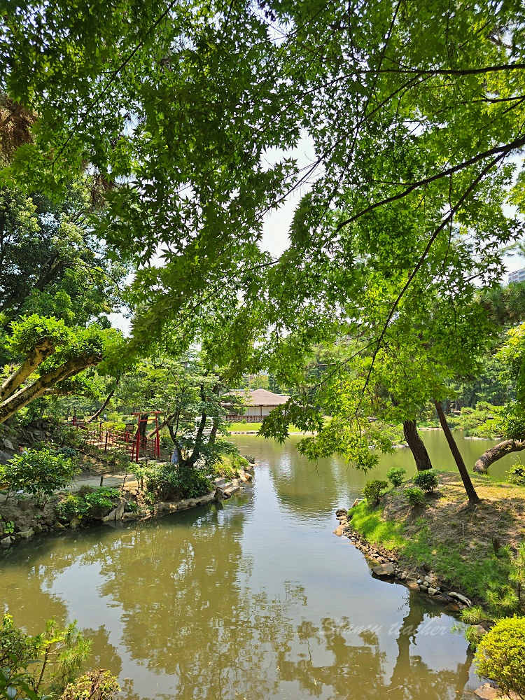 廣島縮景園｜廣島市區必訪日式庭園景點！交通門票＋跨虹橋拍照亮點一次整理