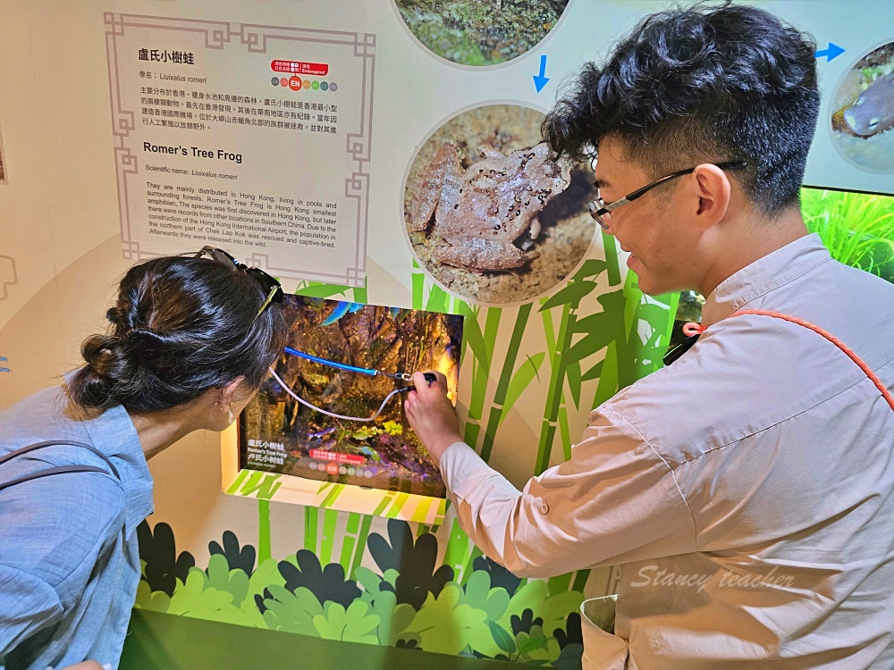 「香港海洋公園」香港海洋公園遊玩攻略一次搞定！動物園水族館山頂纜車一票玩到底