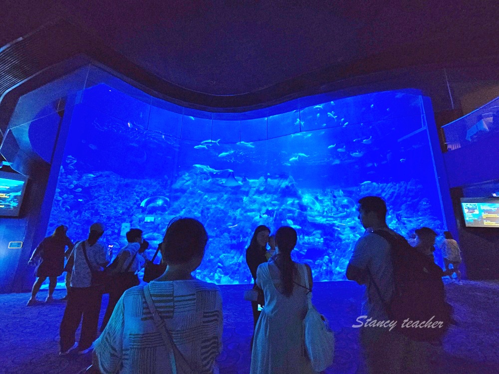 「香港海洋公園」香港海洋公園遊玩攻略一次搞定！動物園水族館山頂纜車一票玩到底