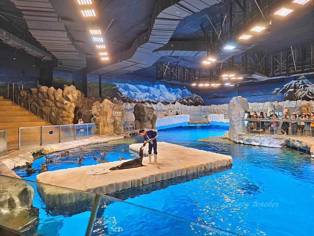 「香港海洋公園」香港海洋公園遊玩攻略一次搞定!動物園水族館山頂纜車一票玩到底 「香港海洋公園」香港海洋公園遊玩攻略一次搞定!動物園水族館山頂纜車一票玩到底