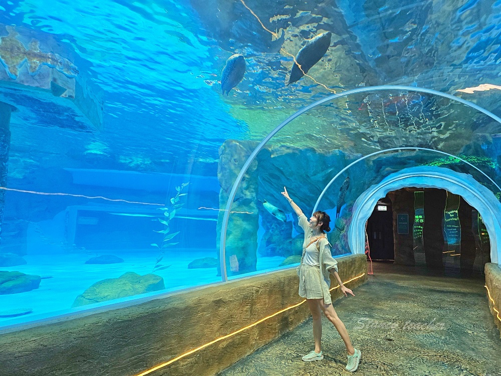 「香港海洋公園」香港海洋公園遊玩攻略一次搞定!動物園水族館山頂纜車一票玩到底 「香港海洋公園」香港海洋公園遊玩攻略一次搞定!動物園水族館山頂纜車一票玩到底