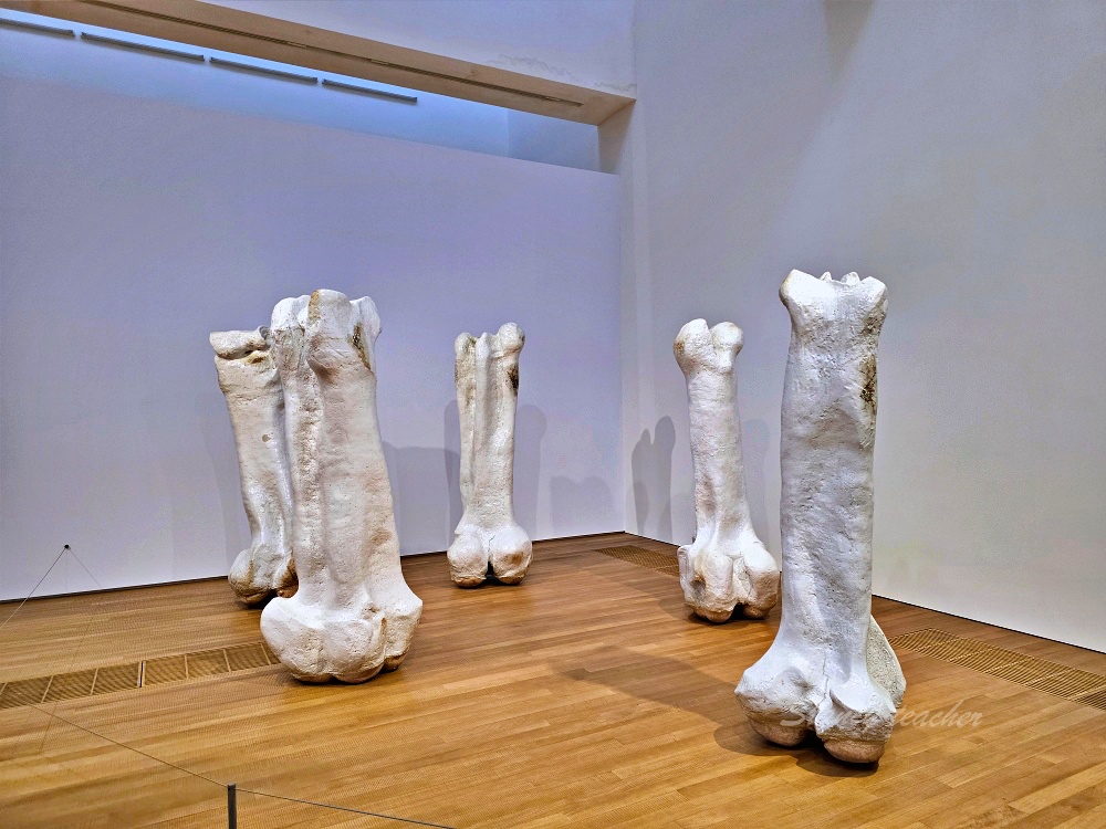 西九文化園區必去「香港Ｍ+博物館」香港藝術新地標亞洲首間當代視覺文化博物館