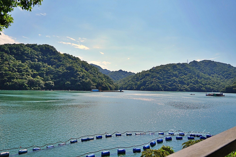 大龍門鱻漫跑嘉年華「桃園石門一日遊」石門活魚餐廳活跳跳超澎湃