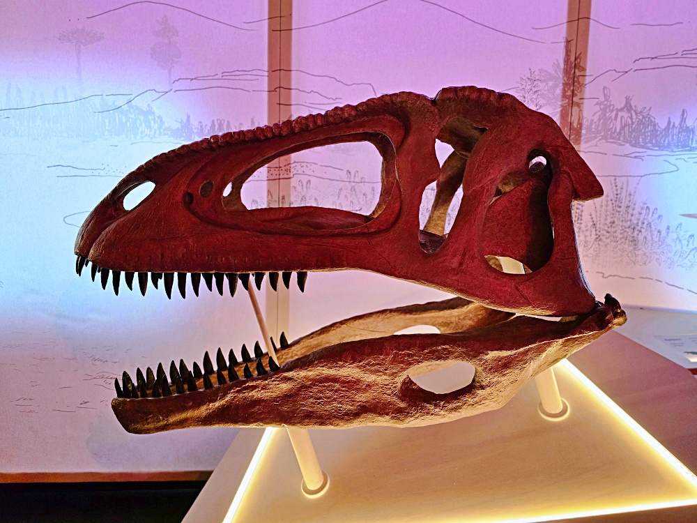 史前巨獸：泰坦恐龍展｜國立臺灣科學教育館必看恐龍特展 交通、購票