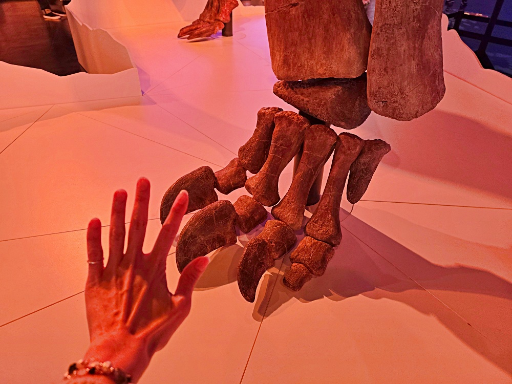 史前巨獸：泰坦恐龍展｜國立臺灣科學教育館必看恐龍特展 交通、購票