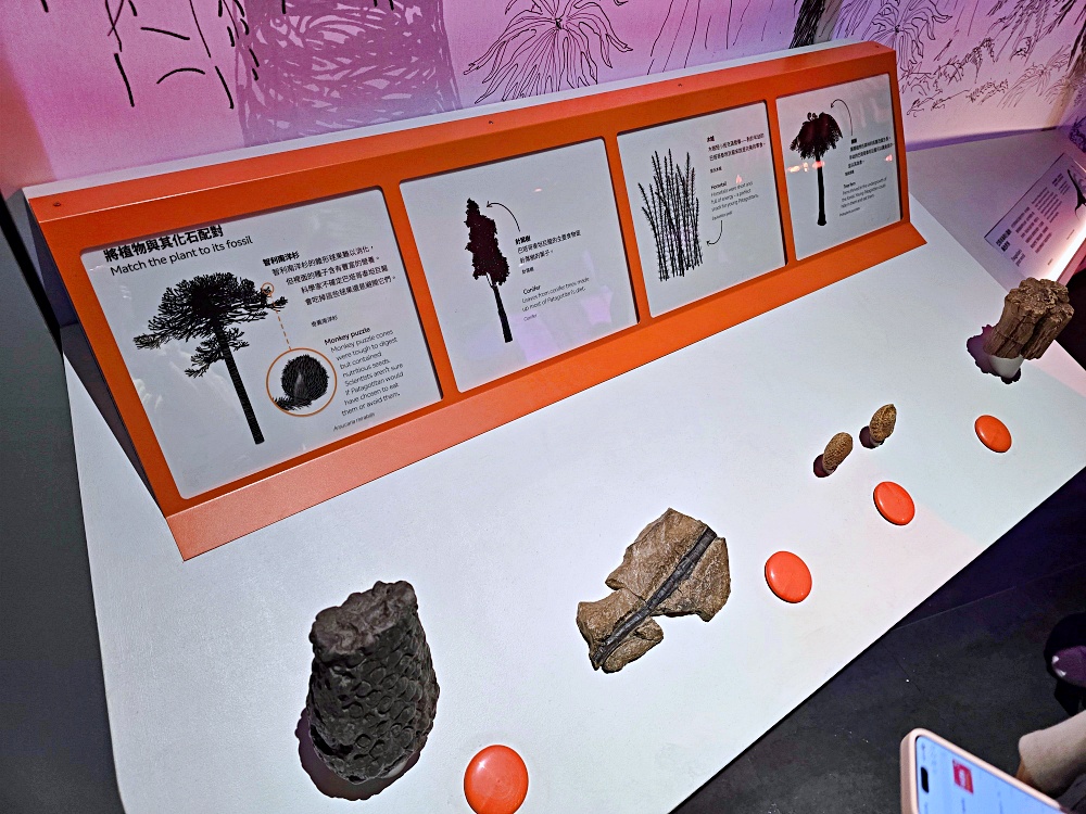 史前巨獸：泰坦恐龍展｜國立臺灣科學教育館必看恐龍特展 交通、購票