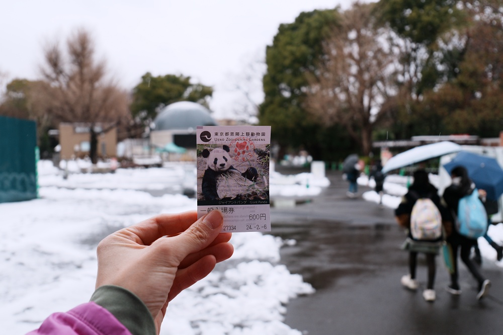 東京親子景點「東京上野動物園遊園攻略 」 門票、交通與餐廳美食推薦 東京親子景點「東京上野動物園遊園攻略 」 門票、交通與餐廳美食推薦