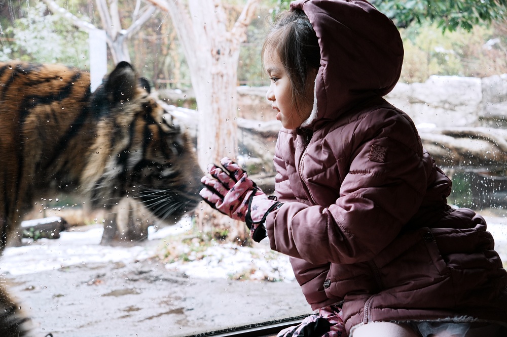 東京親子景點「東京上野動物園遊園攻略 」 門票、交通與餐廳美食推薦