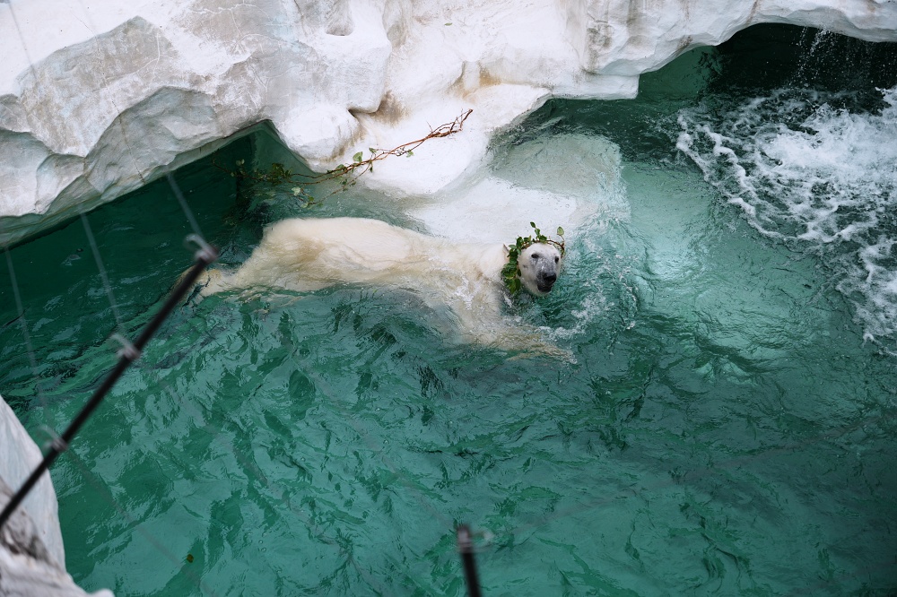 東京親子景點「東京上野動物園遊園攻略 」 門票、交通與餐廳美食推薦
