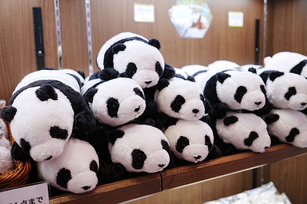 東京親子景點「東京上野動物園遊園攻略 」 門票、交通與餐廳美食推薦