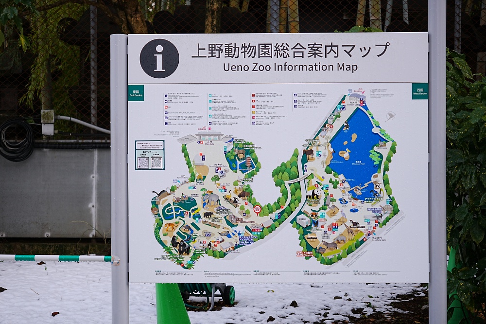 東京親子景點「東京上野動物園遊園攻略 」 門票、交通與餐廳美食推薦