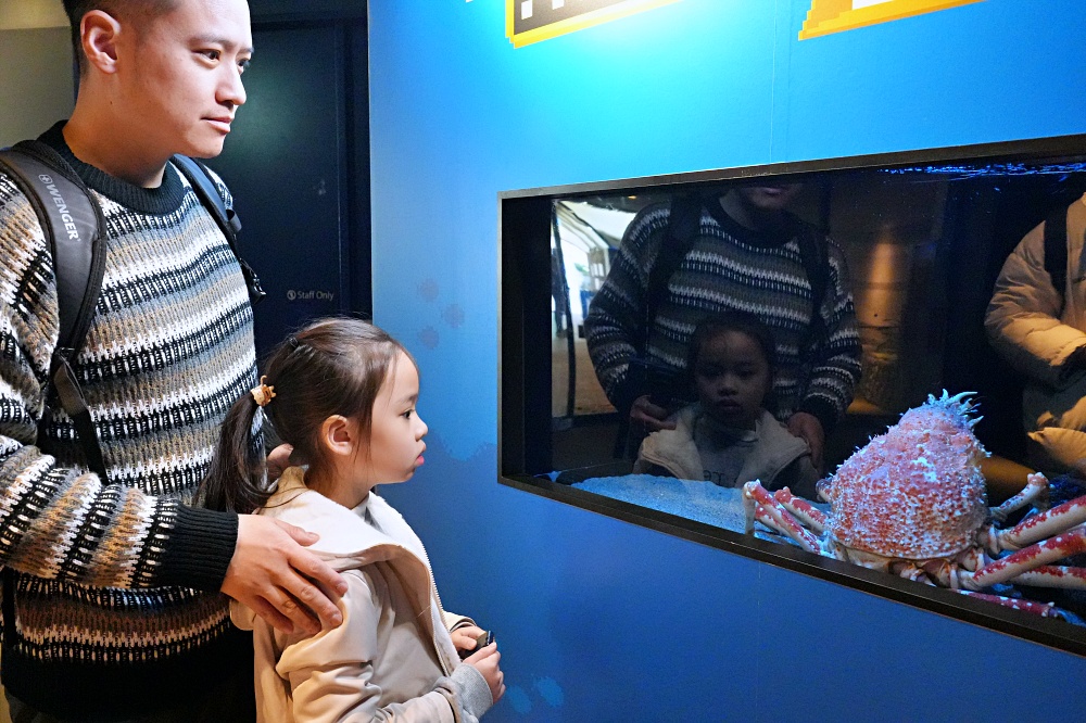 東京池袋陽光水族館攻略：必看景點、美食推薦與親子活動指南