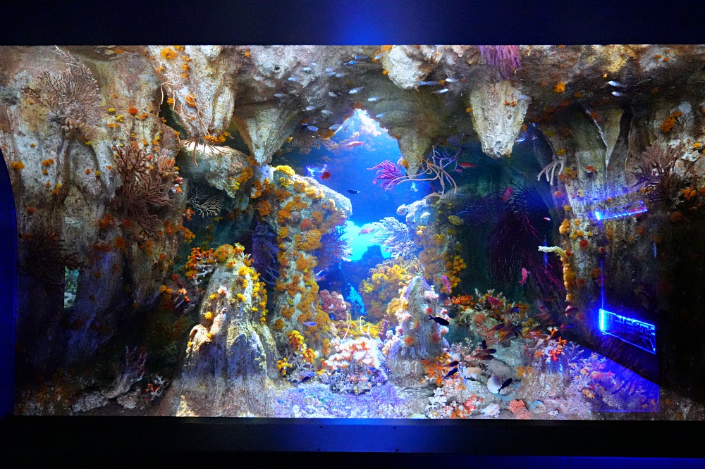 東京池袋陽光水族館攻略：必看景點、美食推薦與親子活動指南
