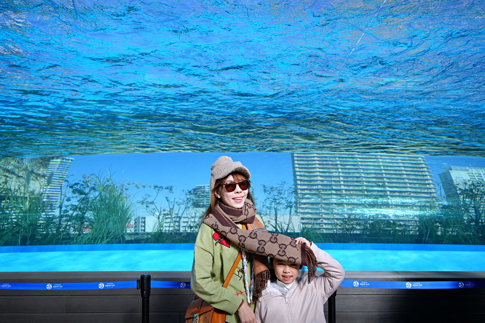 東京池袋陽光水族館攻略：必看景點、美食推薦與親子活動指南