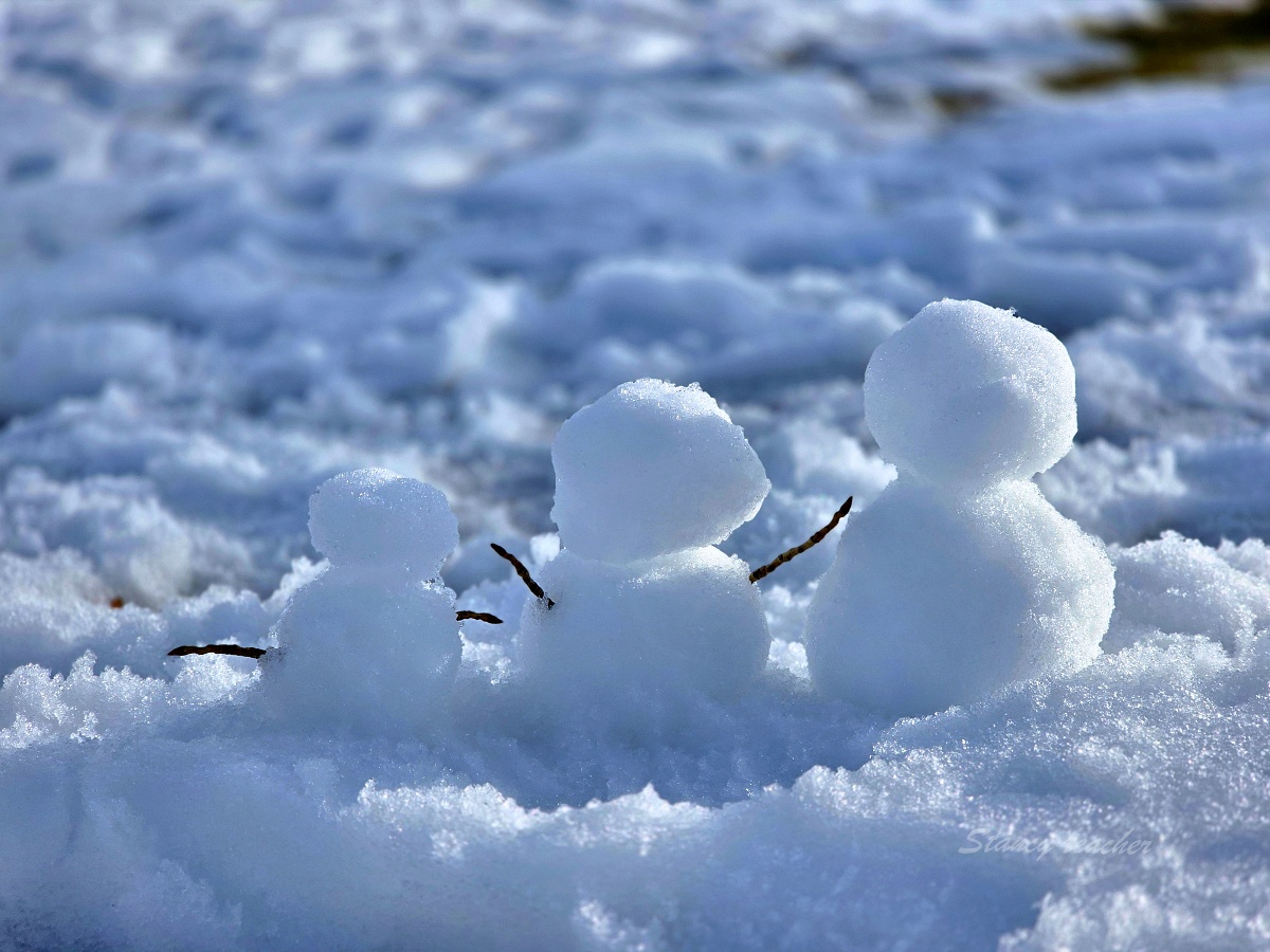 富山線「富岩運河環水公園」全攻略，竟然還有世界最美星巴克在雪中童話世界！