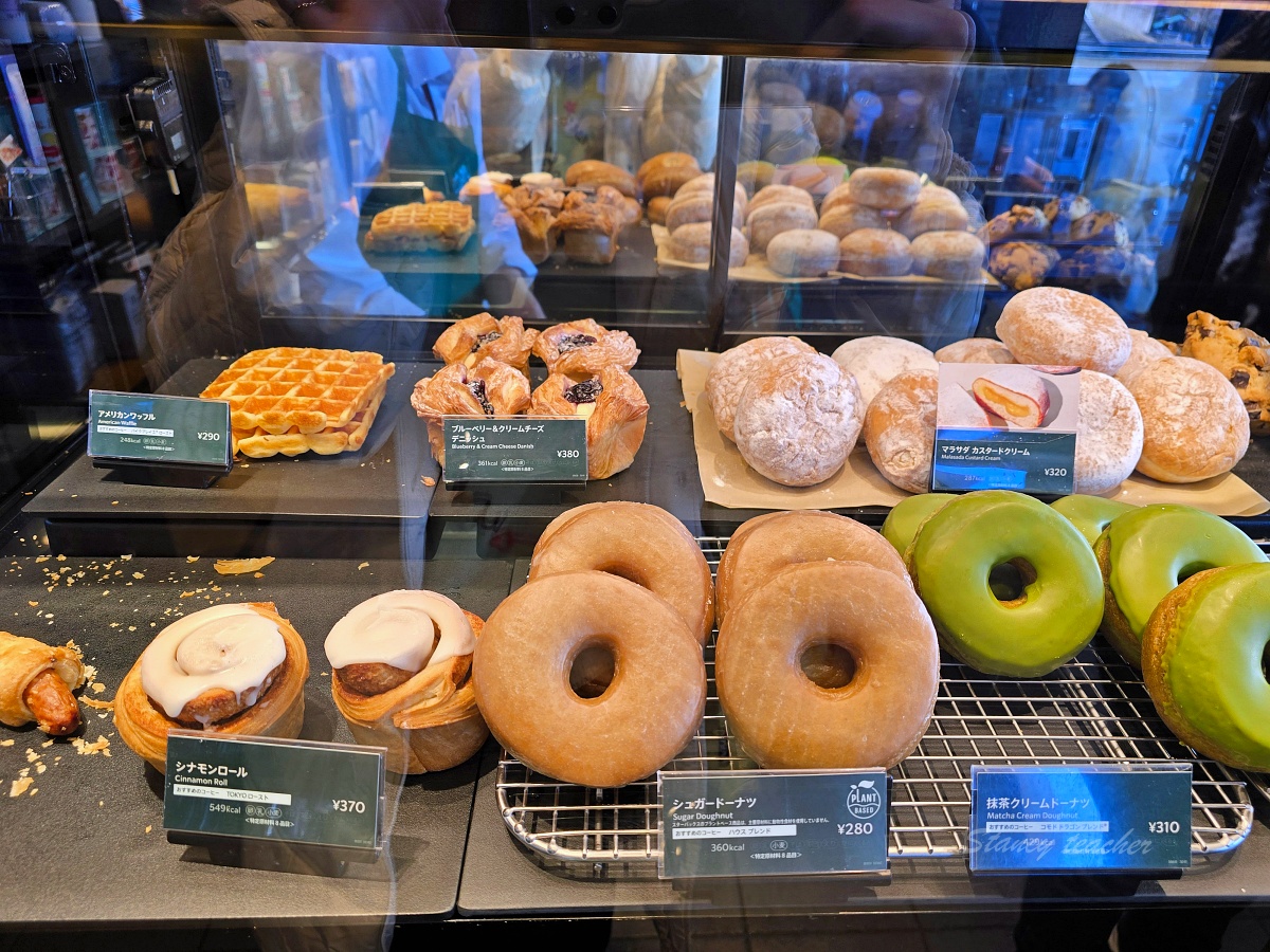 富山線「富岩運河環水公園」全攻略，竟然還有世界最美星巴克在雪中童話世界！