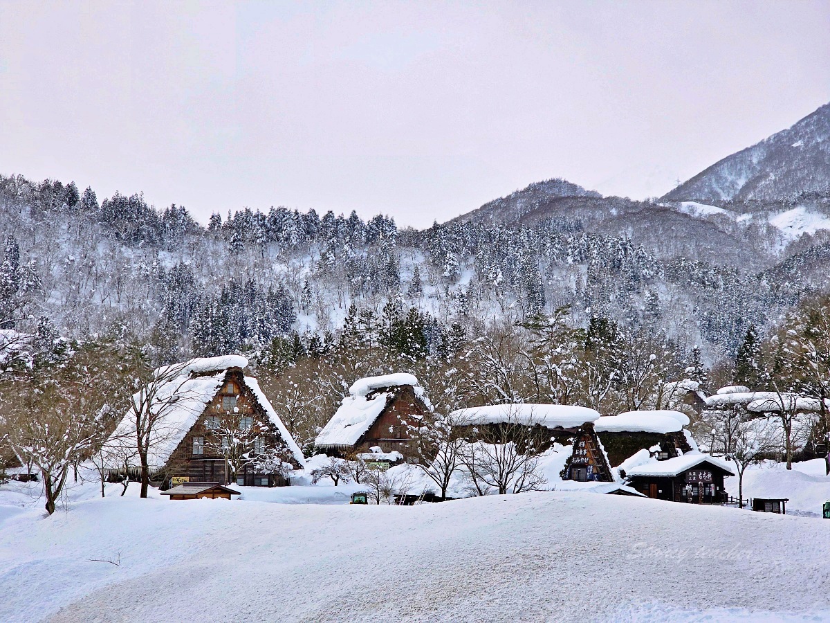 日本北陸景點必去「白川鄉合掌村」交通、天氣、美拍攻略，冬天去合掌村要怎麼穿搭？