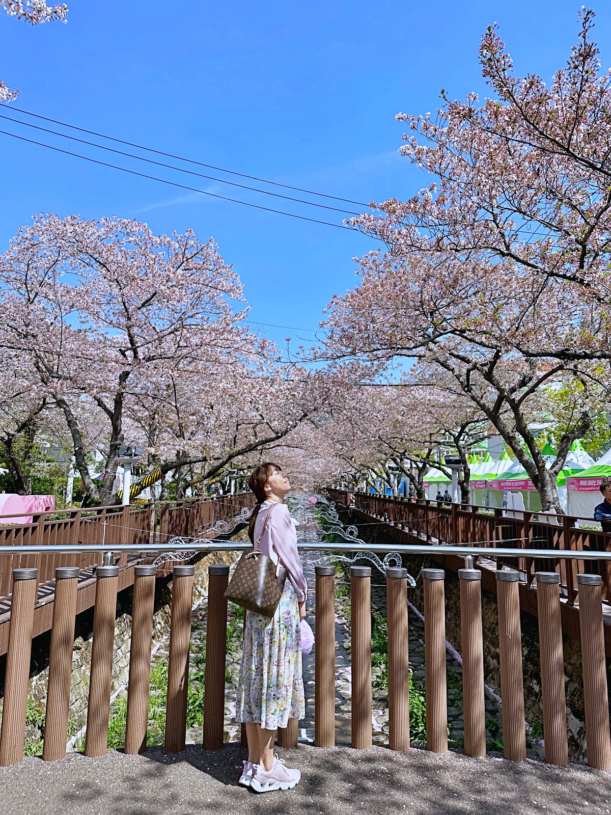 「余佐川羅曼史橋」釜山賞櫻必去景點免費賞櫻步道IG打卡美到爆