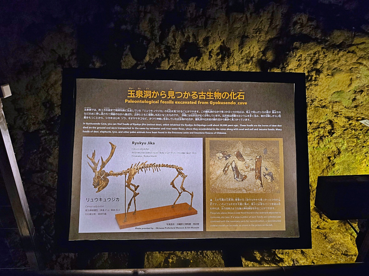 沖繩玉泉洞完全指南：探訪日本第二大鐘乳洞(沖繩世界文化王國)