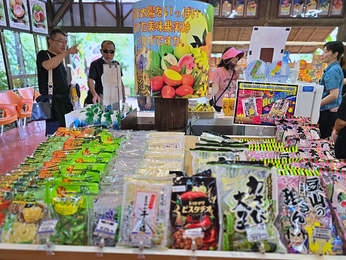 沖繩玉泉洞完全指南:探訪日本第二大鐘乳洞(沖繩世界文化王國) 沖繩玉泉洞完全指南:探訪日本第二大鐘乳洞(沖繩世界文化王國)