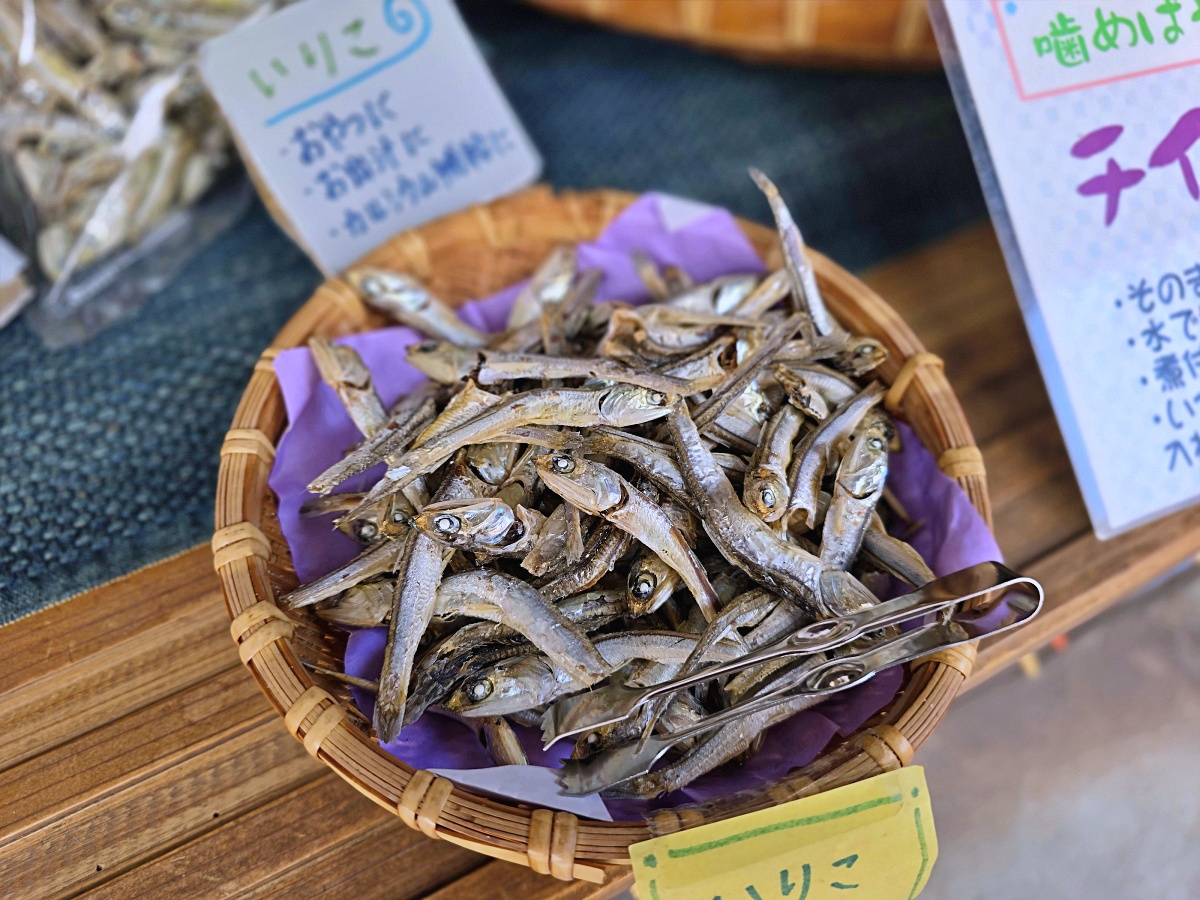 【廣島旅遊】廣島鞆之浦：日本小漁村魅力尋崖上的波妞長夜燈渡船口打卡必拍