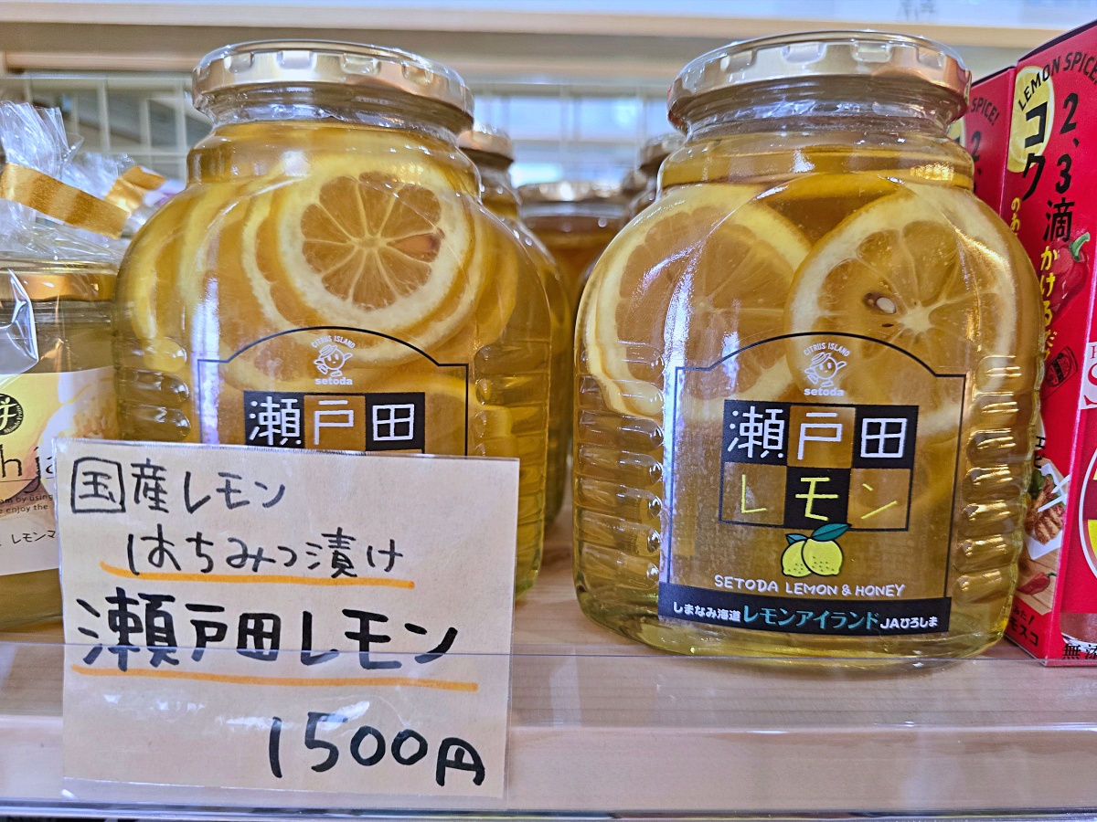 【廣島旅遊】廣島鞆之浦：日本小漁村魅力尋崖上的波妞長夜燈渡船口打卡必拍