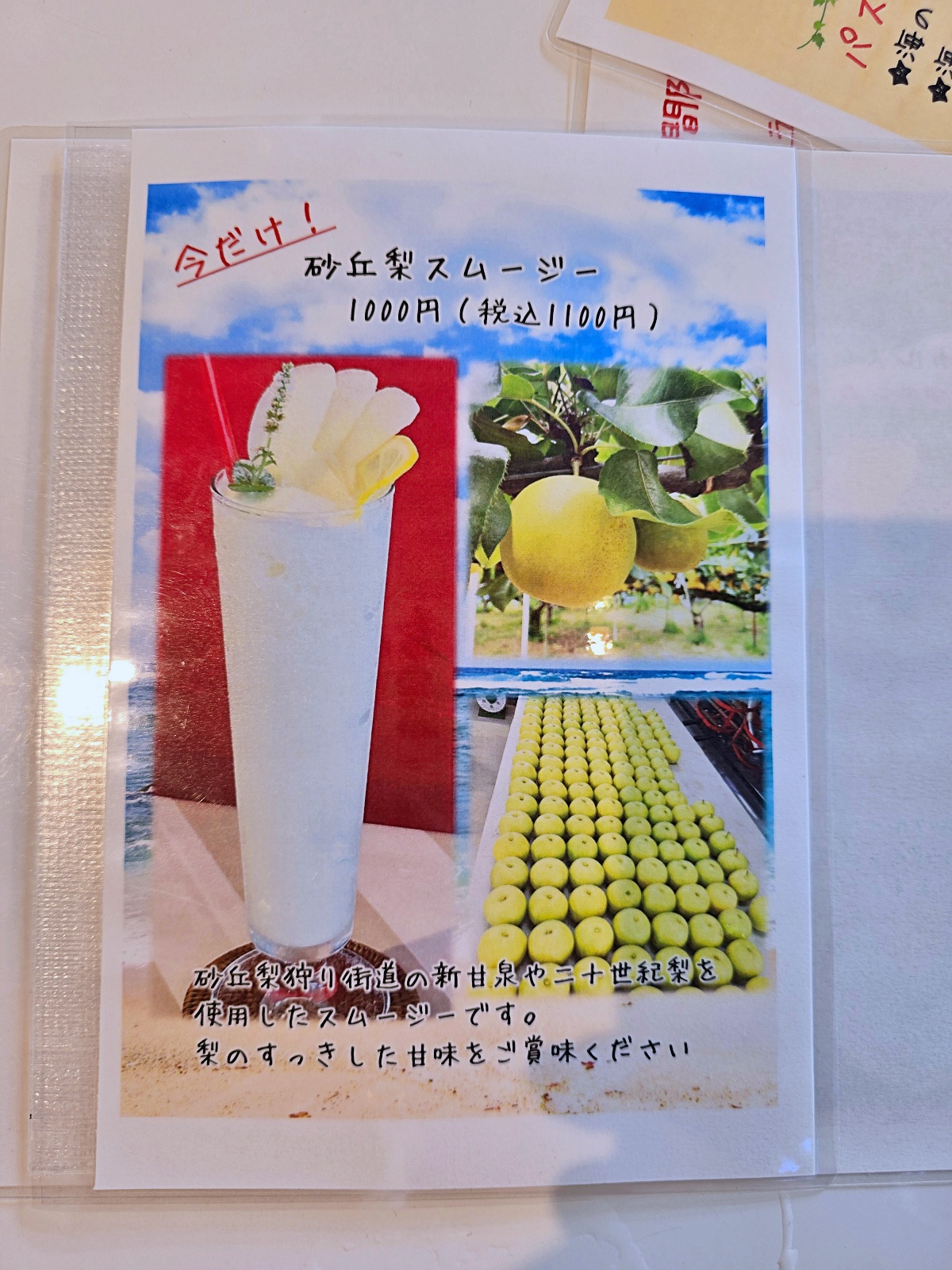 【鳥取自由行】絕美鳥取沙丘一日遊攻略+網美必訪咖啡廳推薦交通方式全攻略 【鳥取自由行】絕美鳥取沙丘一日遊攻略+網美必訪咖啡廳推薦交通方式全攻略