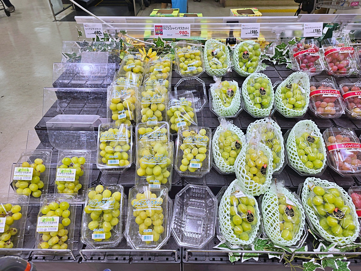 【鳥取購物推薦】永旺夢樂城鳥取北店：一站式購物天堂、美食街、退稅服務一次滿足！