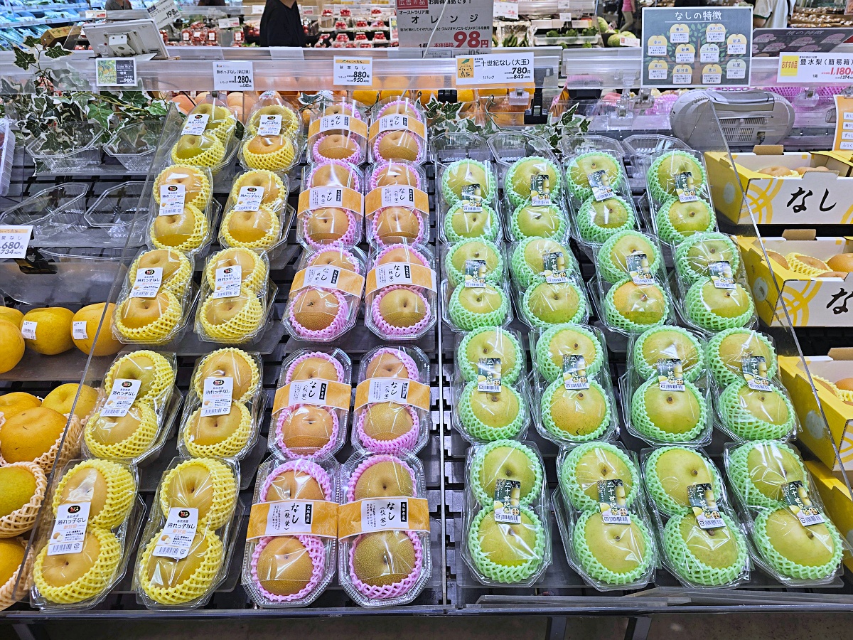 【鳥取購物推薦】永旺夢樂城鳥取北店：一站式購物天堂、美食街、退稅服務一次滿足！