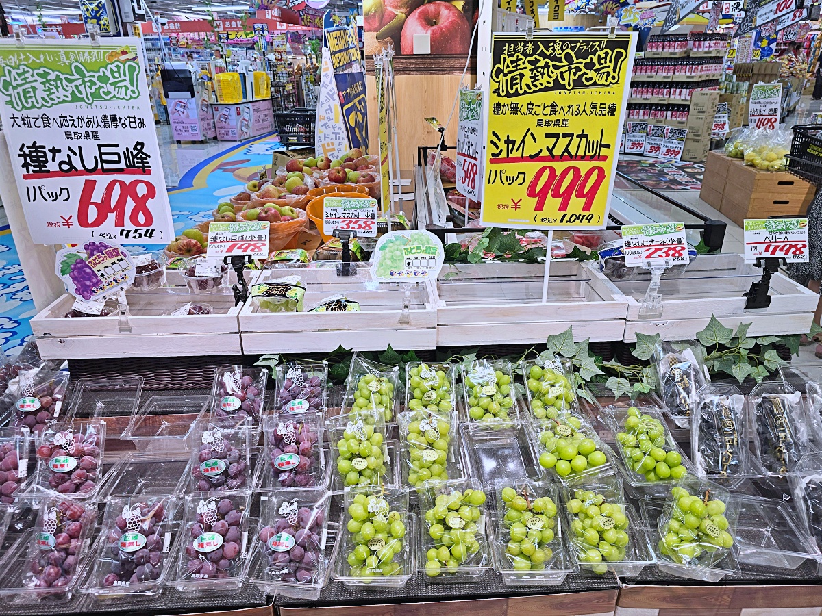 【鳥取購物推薦】米子新開幕 MEGA 唐吉軻德｜鳥取最大免稅購物天堂，生鮮美食與美妝一次滿足