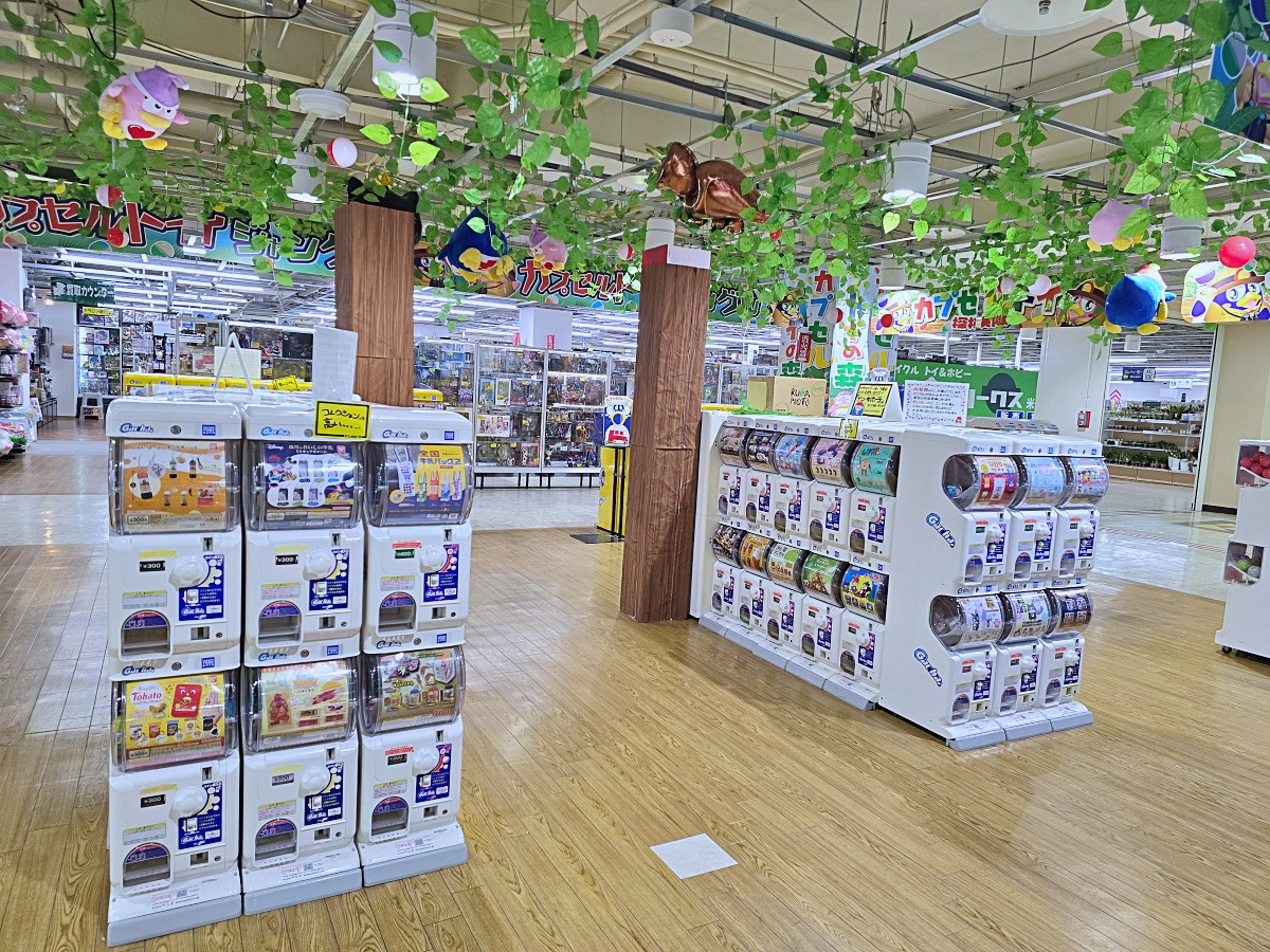 【鳥取購物推薦】米子新開幕 MEGA 唐吉軻德｜鳥取最大免稅購物天堂，生鮮美食與美妝一次滿足