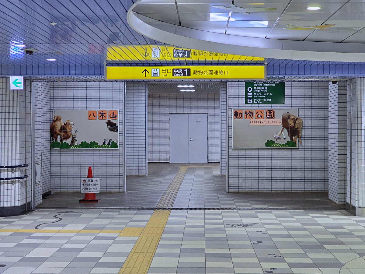 【仙台旅遊】八木山動物園仙台親子自由行必去城市裡最古老的動物園