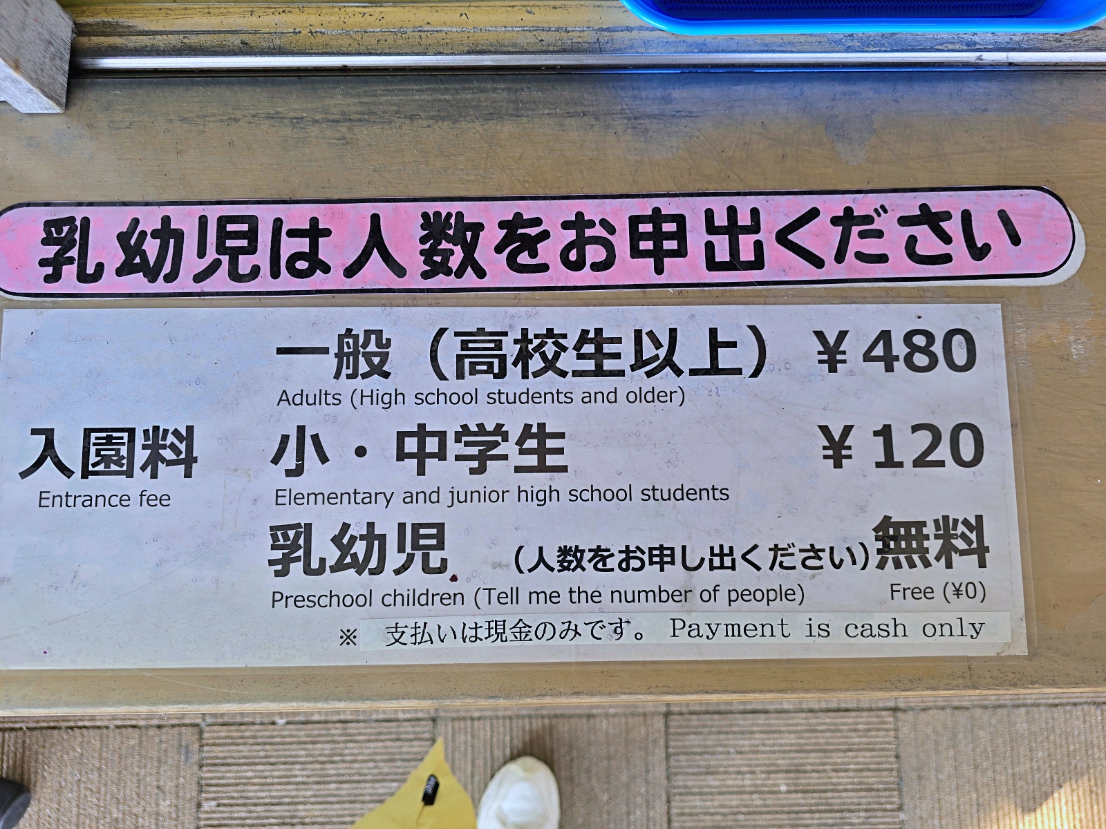 【仙台旅遊】八木山動物園仙台親子自由行必去城市裡最古老的動物園