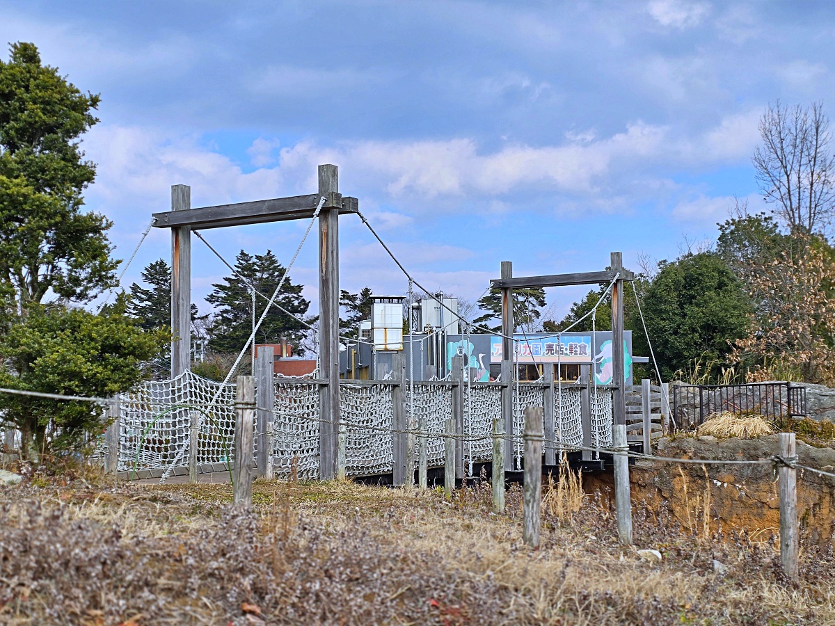 【仙台旅遊】八木山動物園仙台親子自由行必去城市裡最古老的動物園