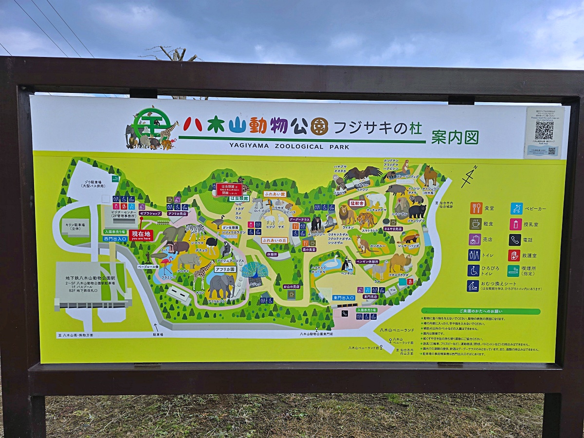 【仙台旅遊】八木山動物園仙台親子自由行必去城市裡最古老的動物園