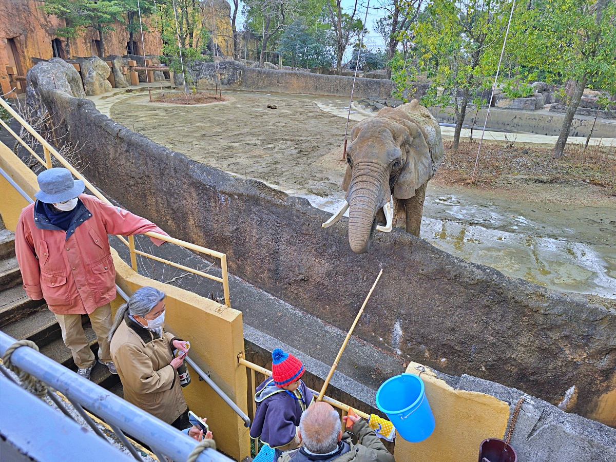 【仙台旅遊】八木山動物園仙台親子自由行必去城市裡最古老的動物園