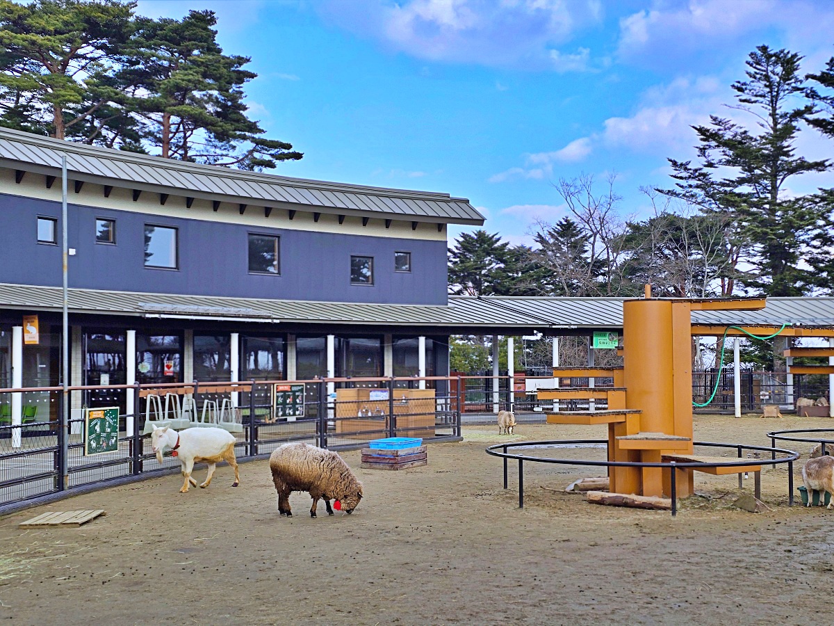 【仙台旅遊】八木山動物園仙台親子自由行必去城市裡最古老的動物園