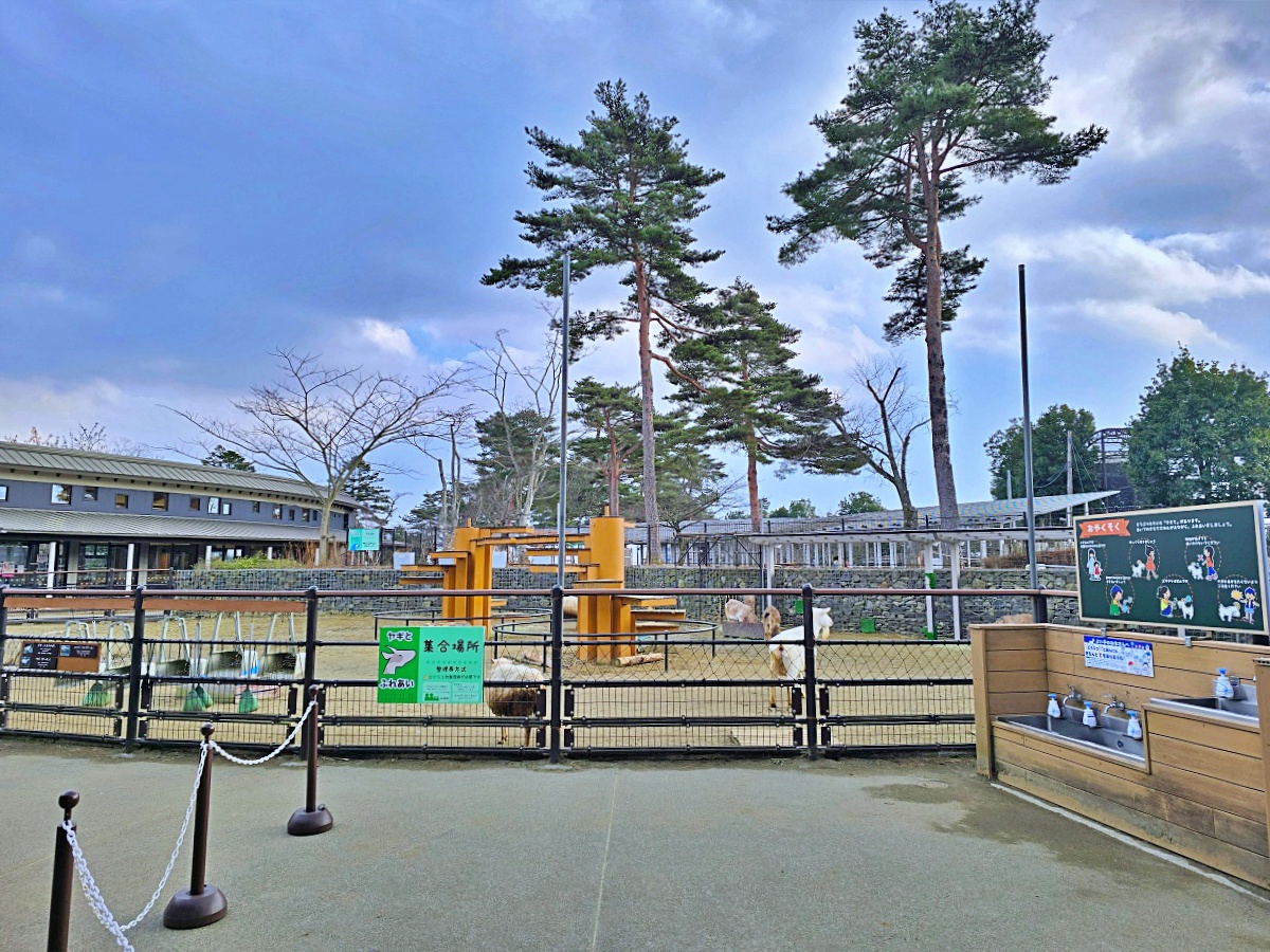 【仙台旅遊】八木山動物園仙台親子自由行必去城市裡最古老的動物園