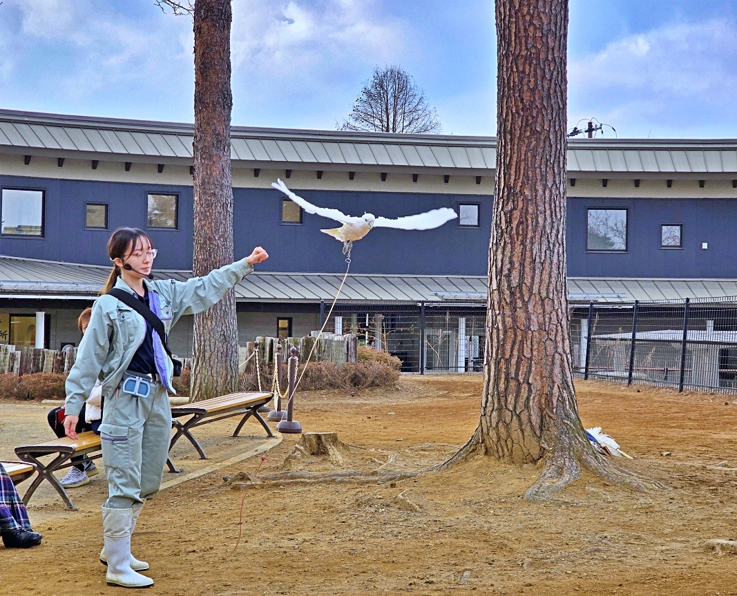 【仙台旅遊】八木山動物園仙台親子自由行必去城市裡最古老的動物園