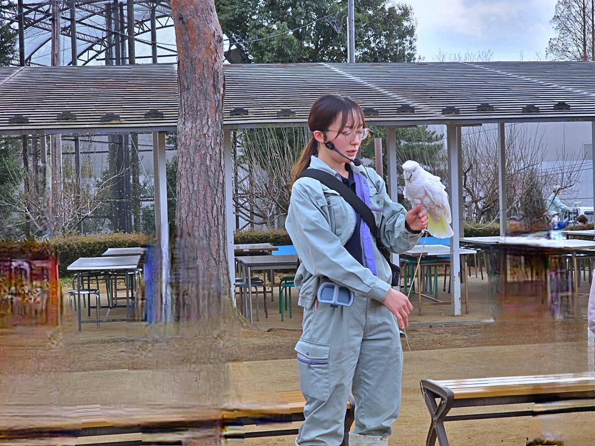 【仙台旅遊】八木山動物園仙台親子自由行必去城市裡最古老的動物園