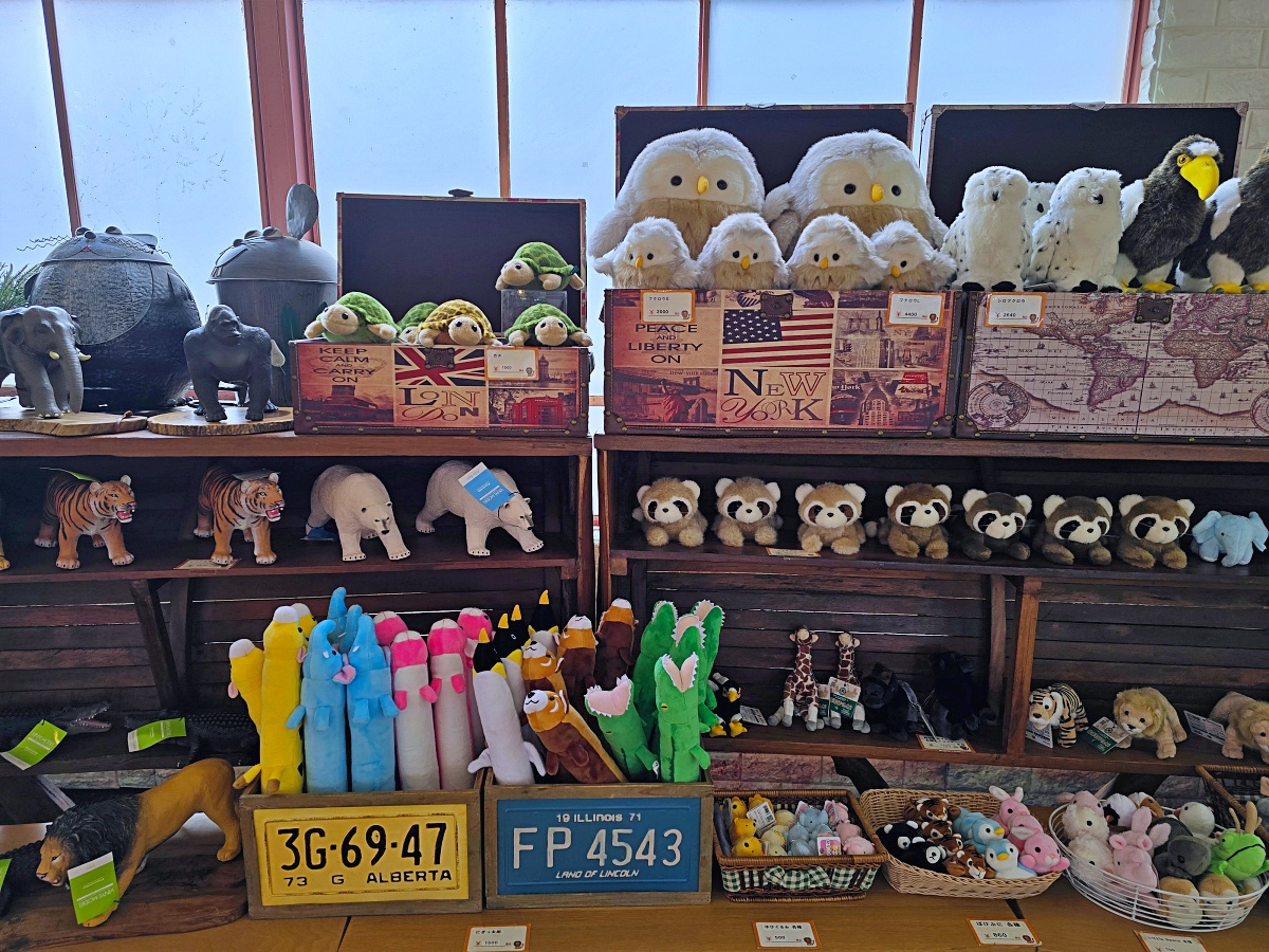 【仙台旅遊】八木山動物園仙台親子自由行必去城市裡最古老的動物園