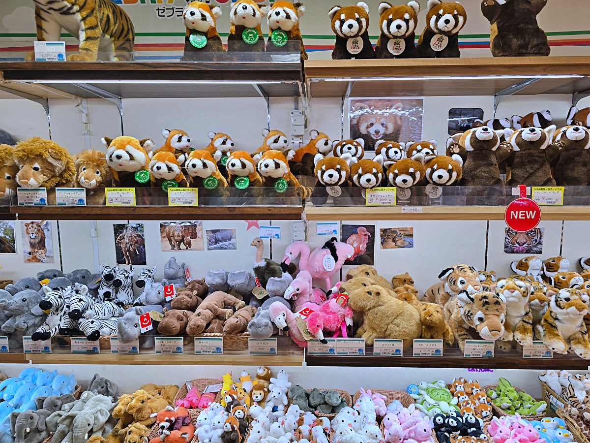 【仙台旅遊】八木山動物園仙台親子自由行必去城市裡最古老的動物園